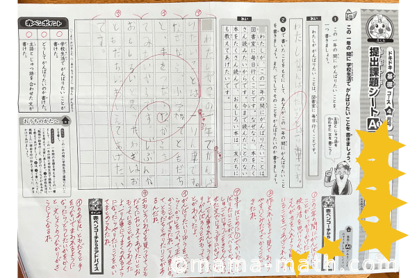 ブンブンどりむ先取りブログ！作文や読解に効果なしはウソ！ -