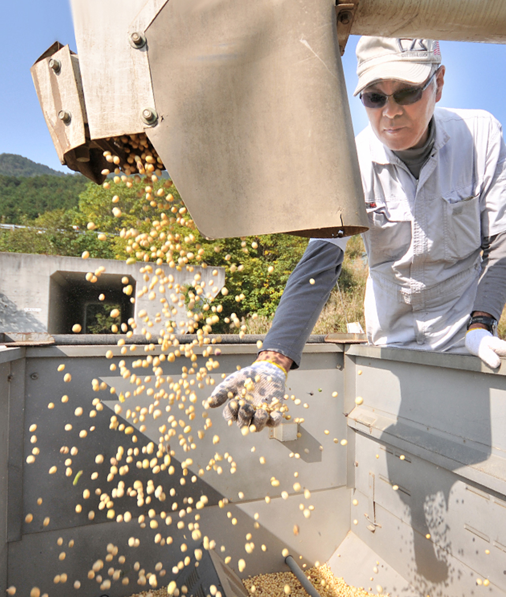 豆道楽（農業法人）｜愛媛県西予市宇和｜豆腐｜無添加｜大豆
