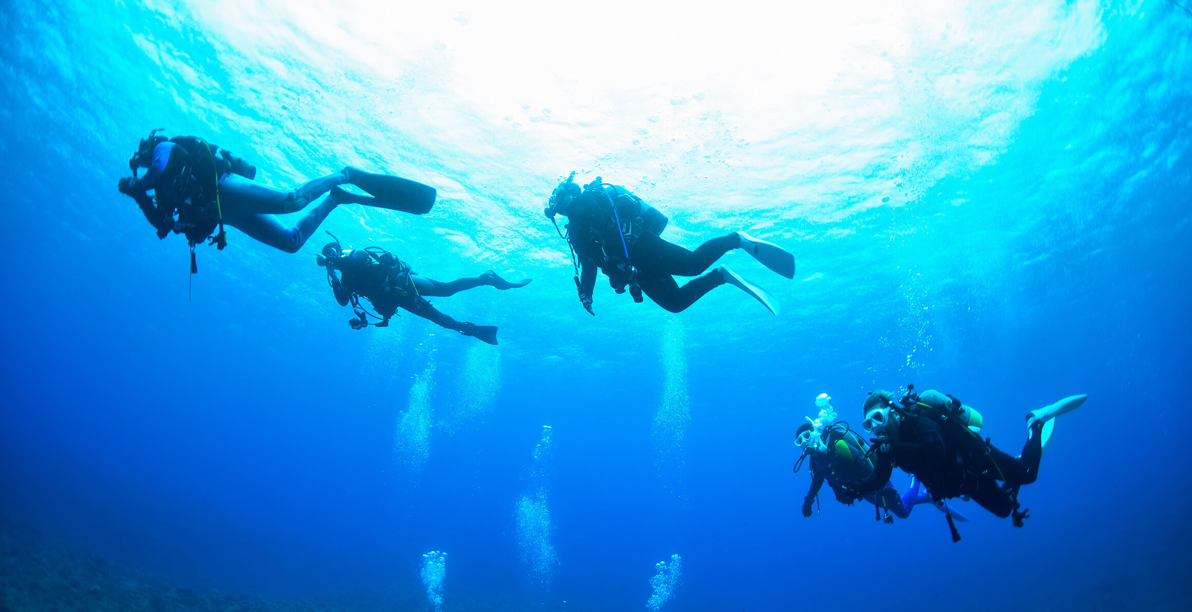 宮古島のんびり派ダイビングショップ manaFactory(マナファクトリー)