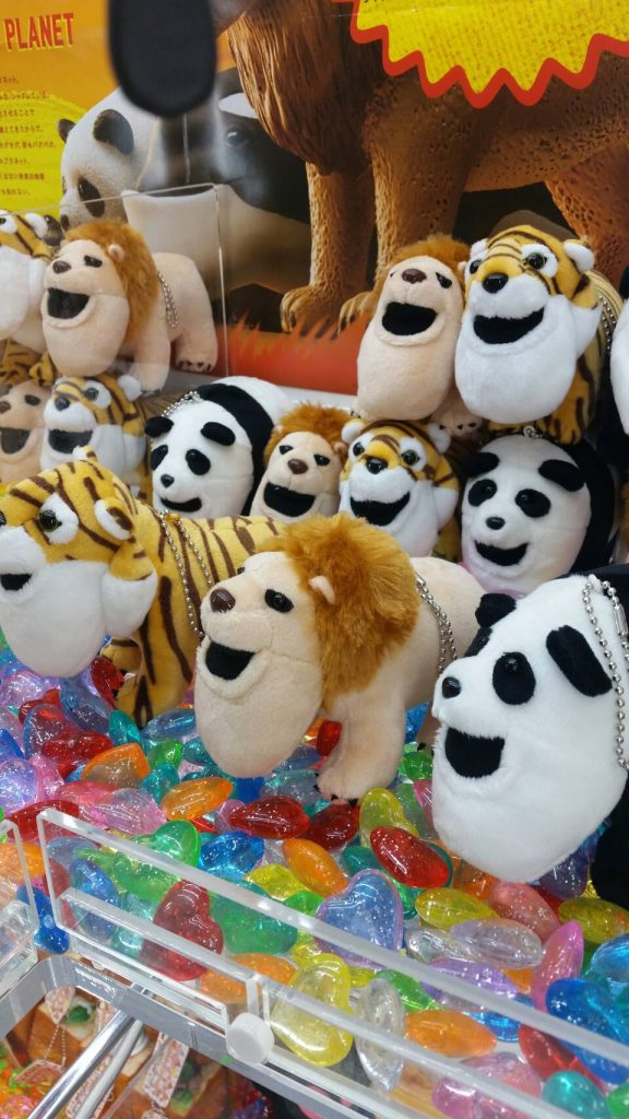 10/13 ☆アミューズ新入荷情報！☆「シャクレルプラネット シャクレル