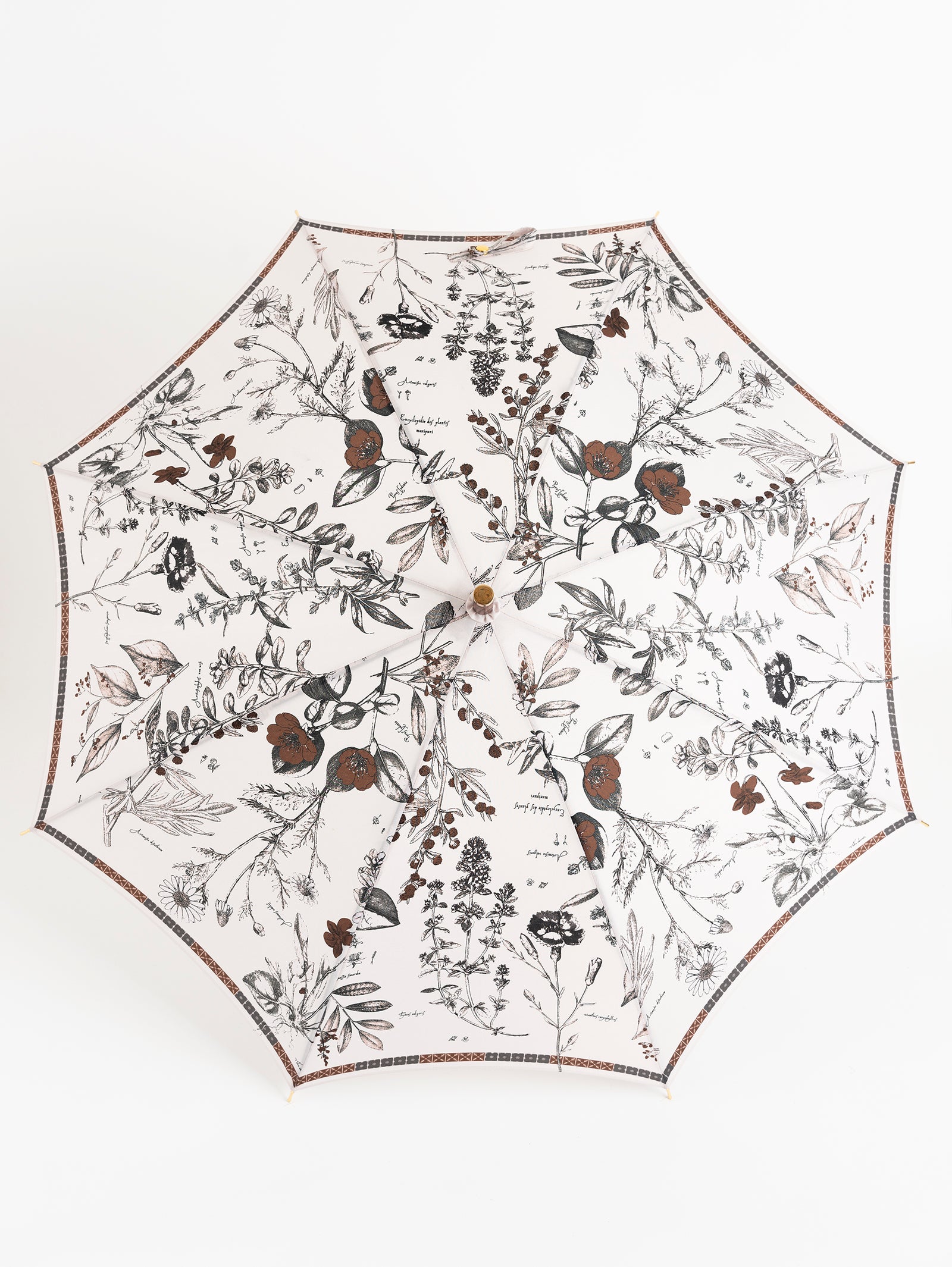 晴雨兼用長傘＞アンティークフラワー – manipuri