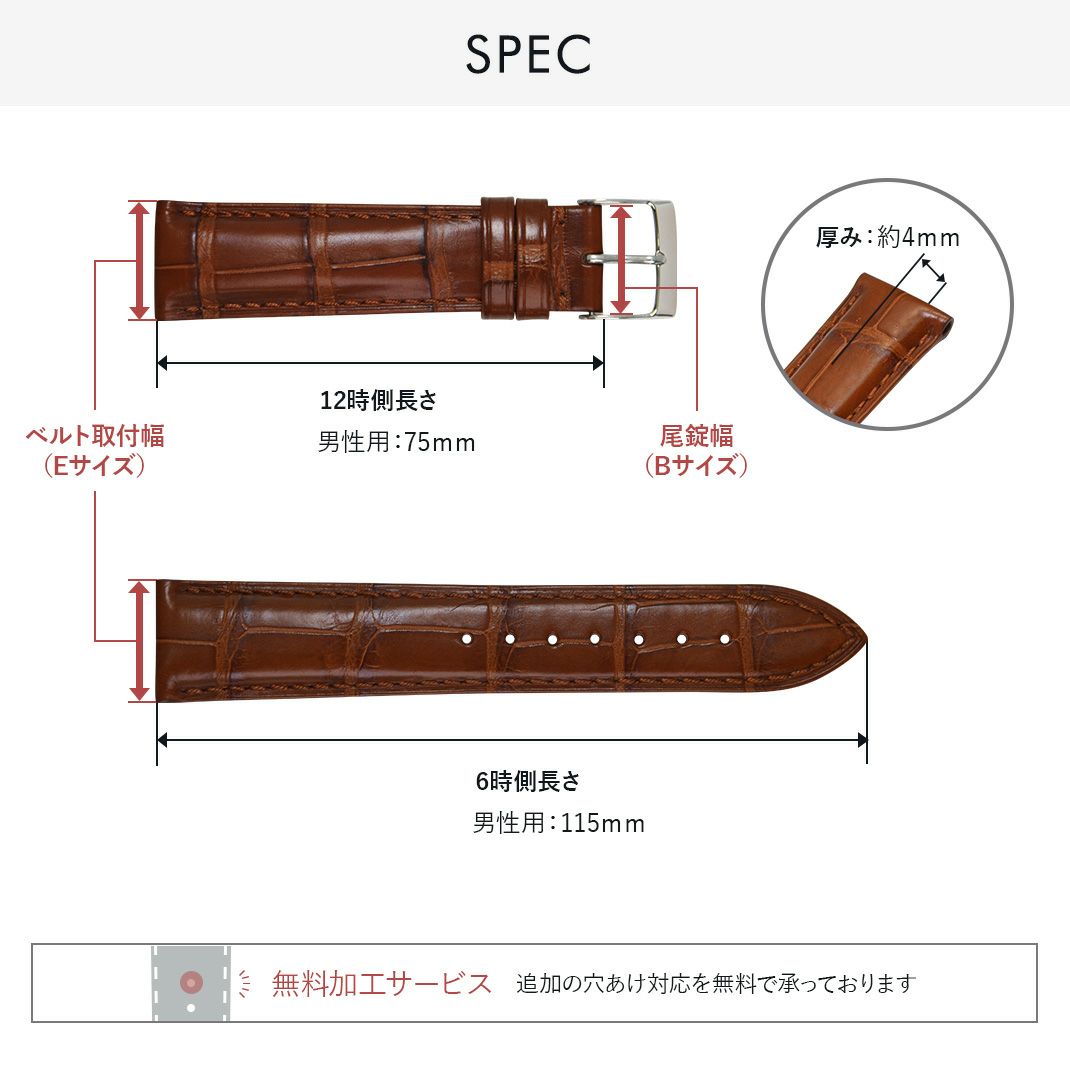 ハミルトン アメリカン クラシックスピットオブリバティ 用 HAMILTON