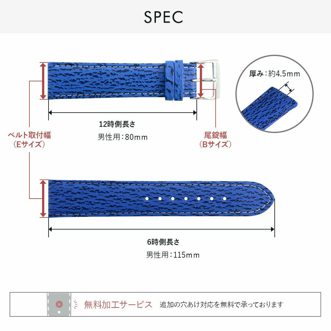 CASSIS カシス KIEL キール シャークスキン 時計ベルト U1098037