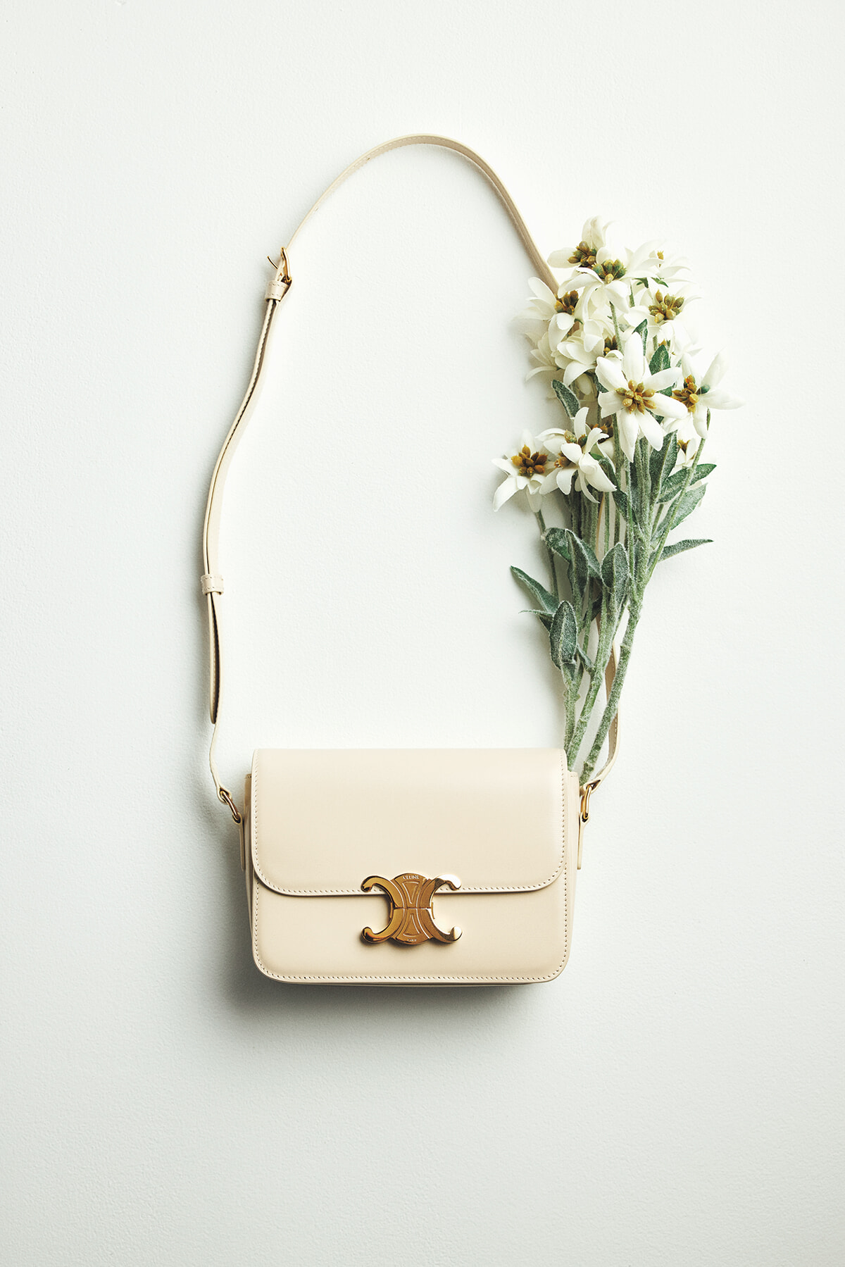 セリーヌのバッグ】日常に華を添える注目の「ティーン トリオンフ