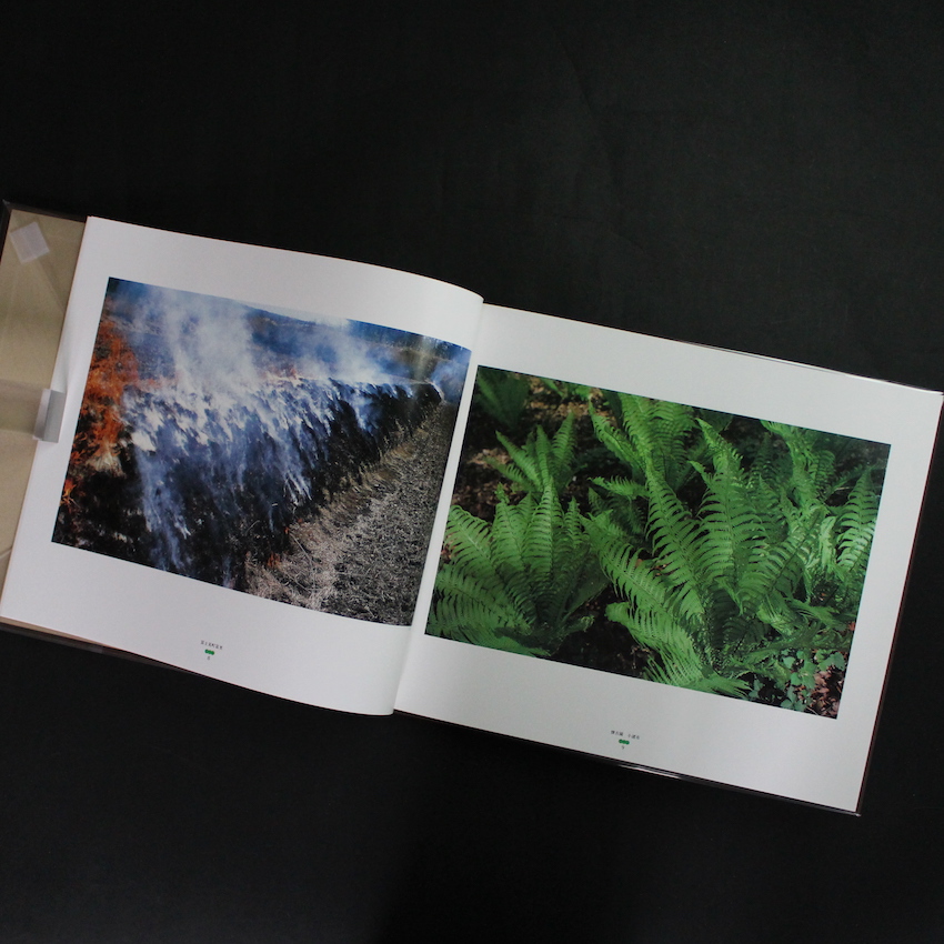 信濃遊行 / Shinano-Yugyo - 北井 一夫 / Kazuo Kitai