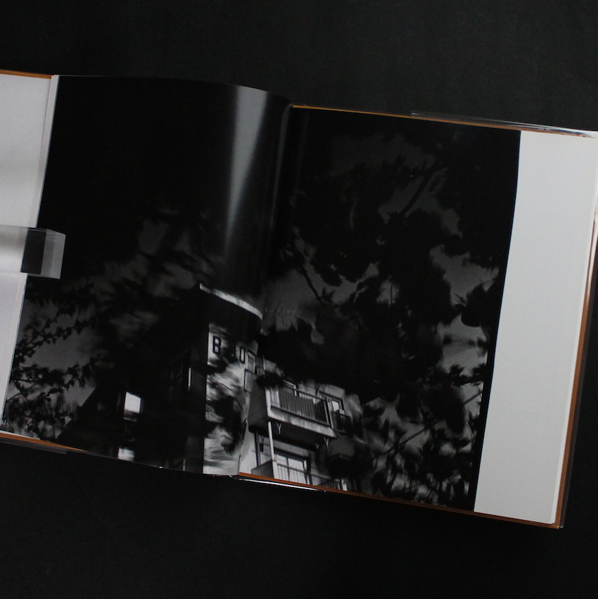 hysteric Twelve（Missing Plastic Cover） - 深瀬 昌久 / Masahisa Fukase