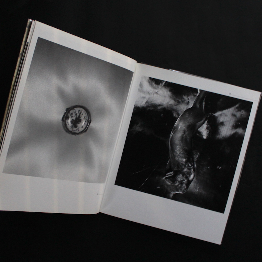 廃園 / Ruinous Gardens - 東松 照明 / Shomei Tomatsu