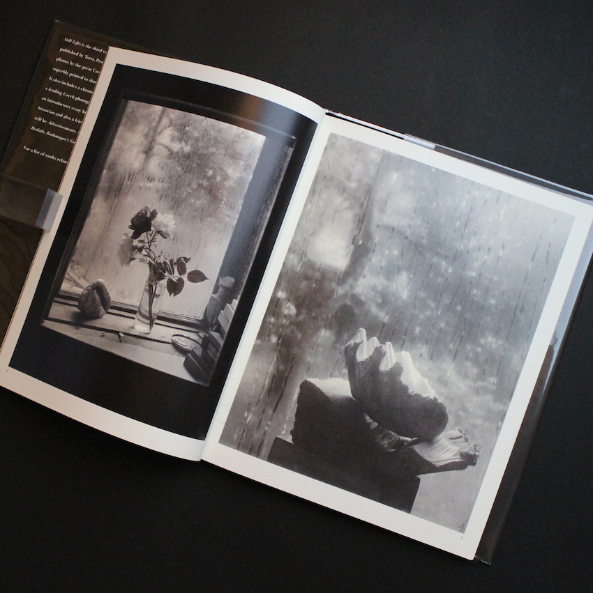 Still Lifes - Josef Sudek