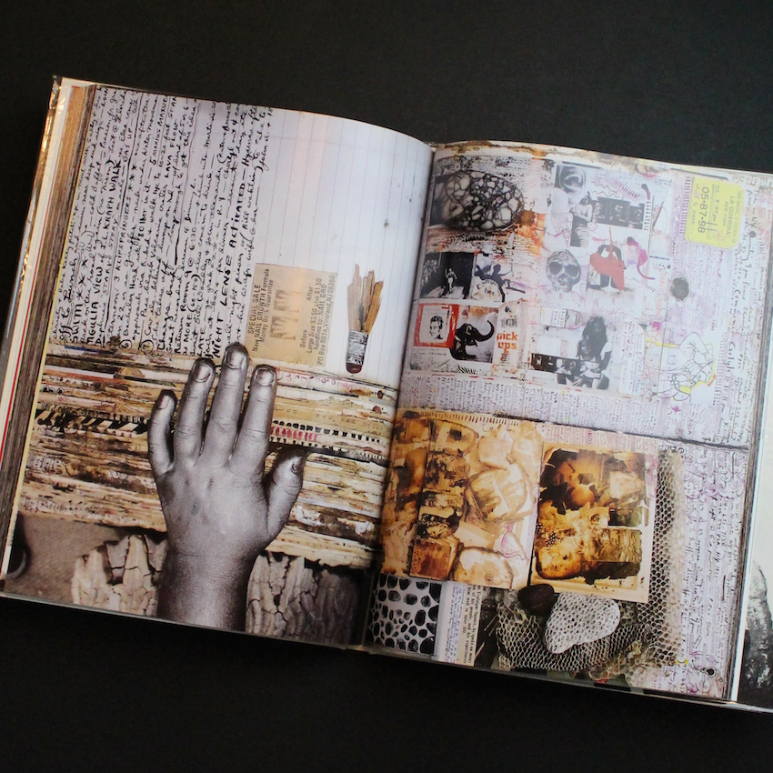 Diary - Peter Beard
