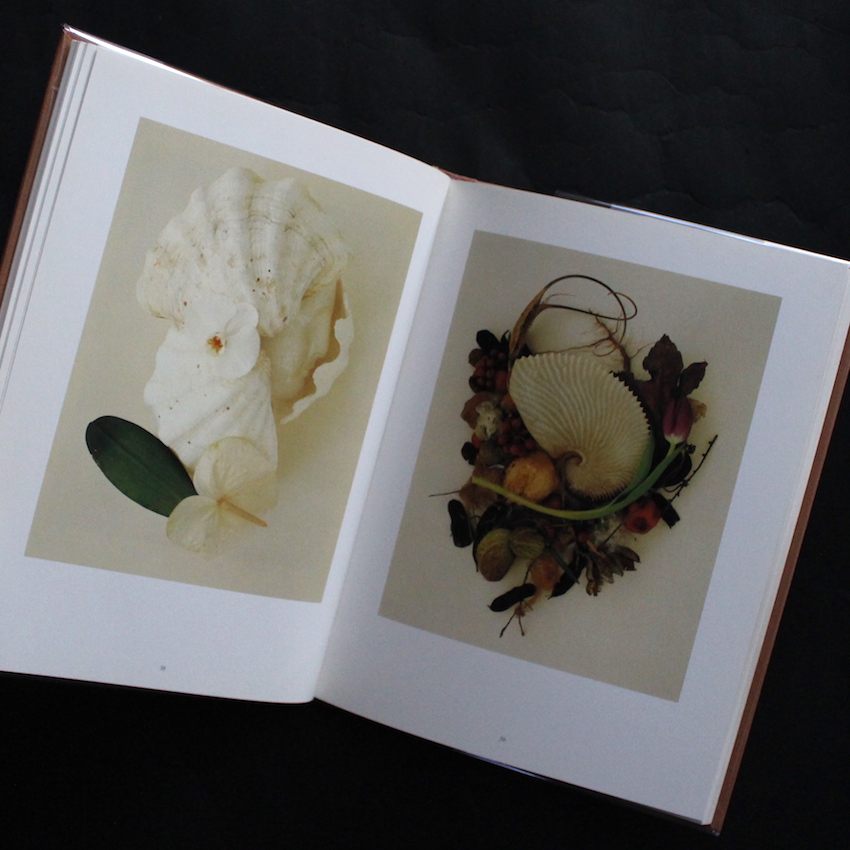 Yoshihiko Ueda Works 1985-1993 - 上田 義彦 / Yoshihiko Ueda