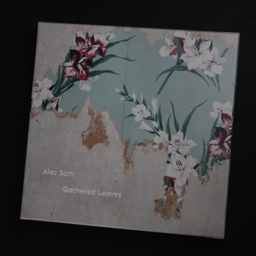 Gathered Leaves - Alec Soth