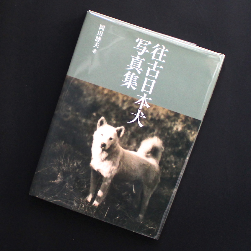 往古日本犬写真集 - 岡田 睦夫 / Mutsuo Okada