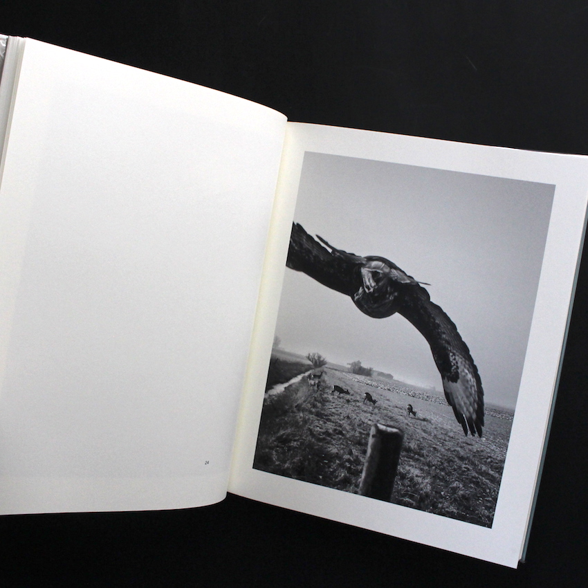 The Pillar（Signed） - Stephen Gill