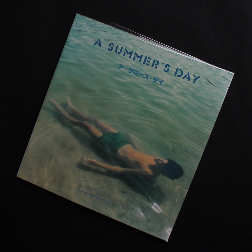 A Summer's Day（Softcover） - Joel Meyerowitz