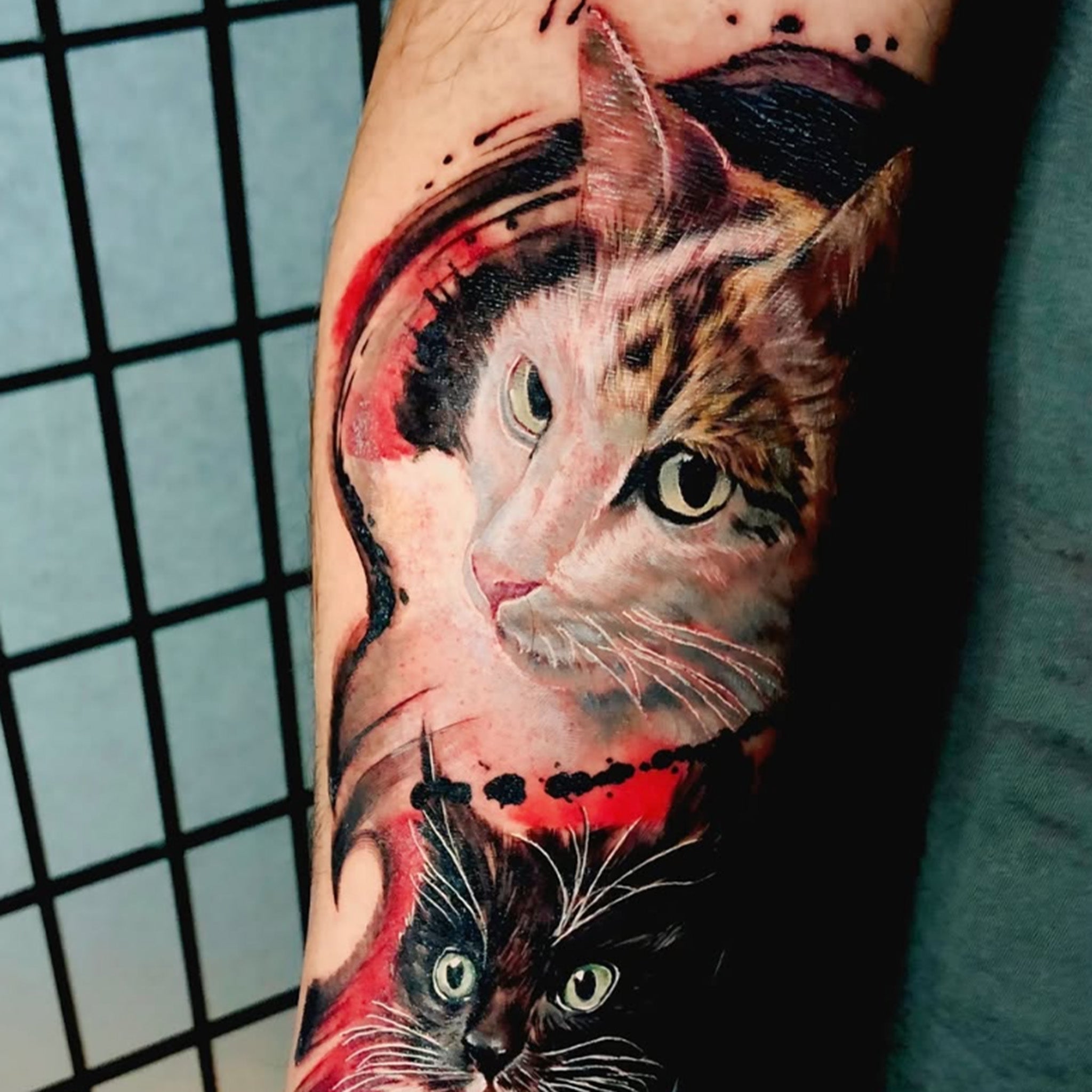 SNW2.jpg?v=1753842860