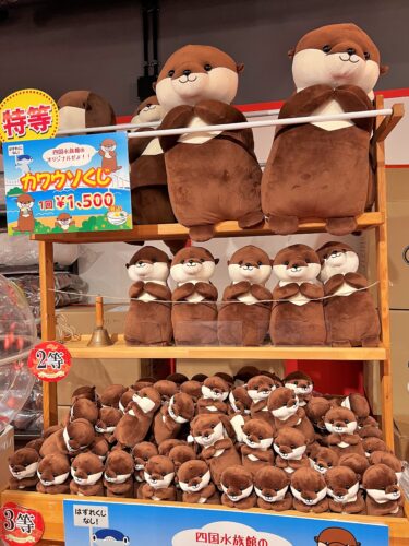 四国水族館オリジナル「カワウソぬいぐるみ」くじ発売｜あとなびマガジン