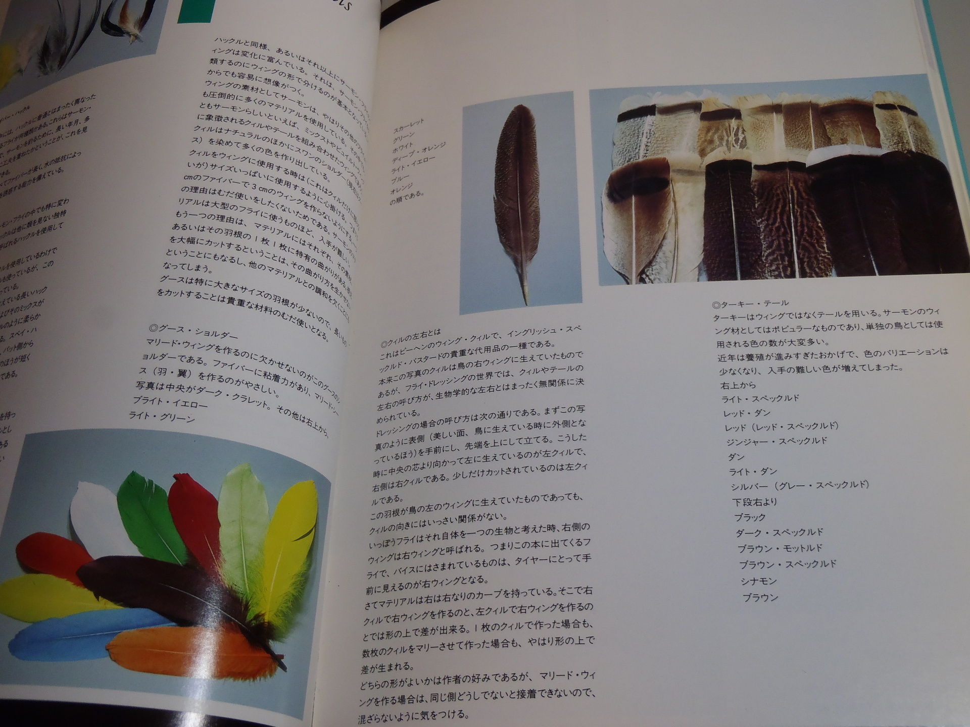 サーモンフライドレッシングー沢田賢一郎: フライフィッシング探求ー大