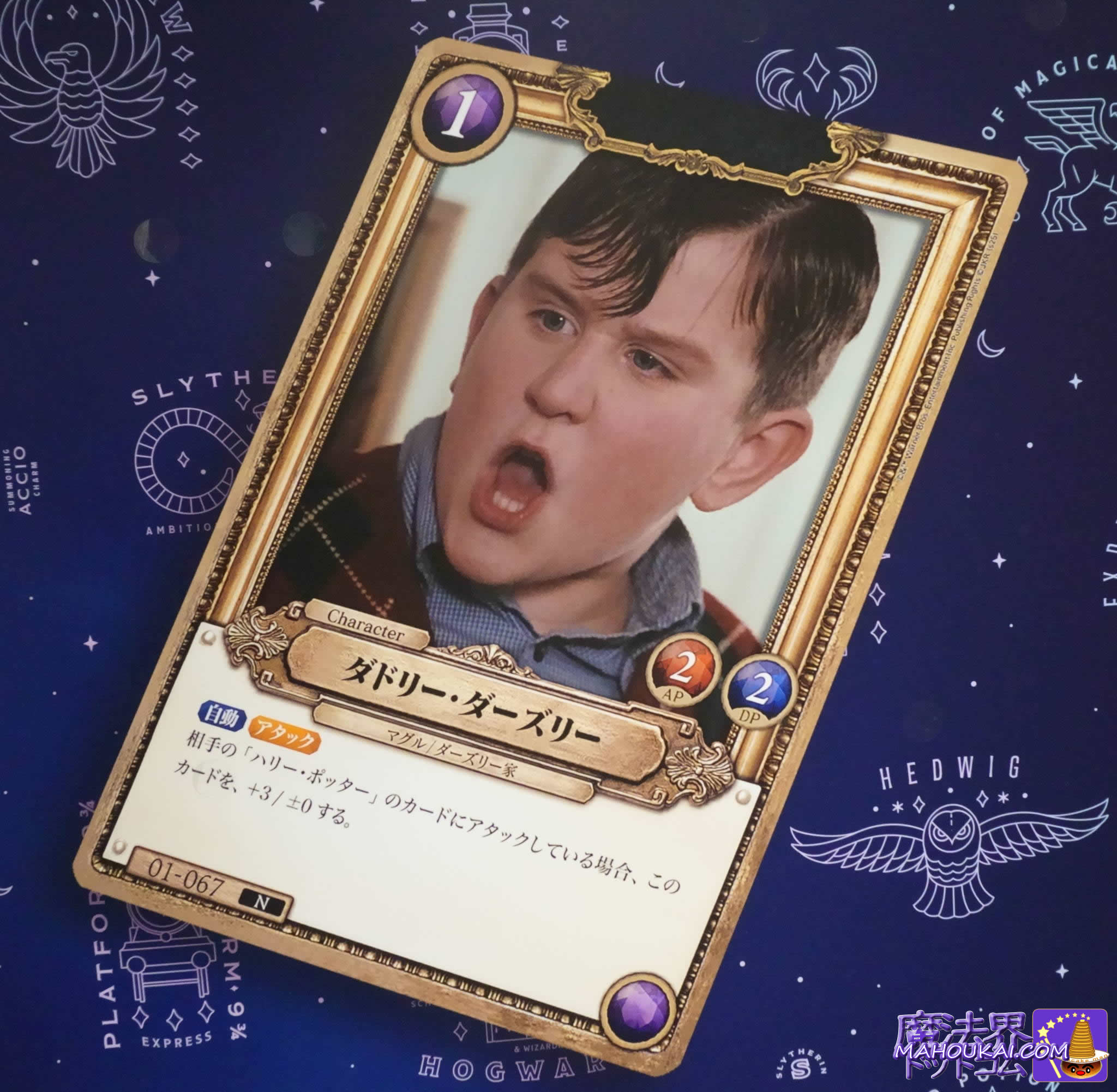 ハリーポッター ハリポタ 小道具カード プロップカード 試験管 予約