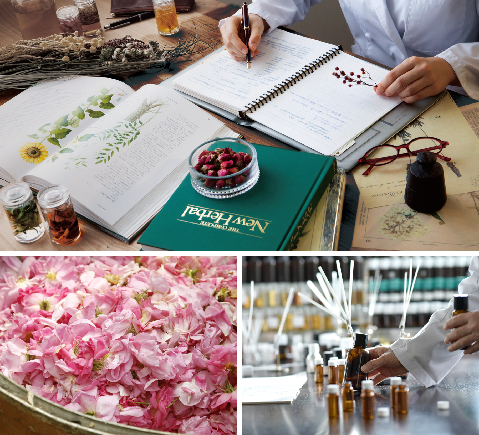 L'ORACLE - MAISON LEXIA メゾンレクシア 公式サイト ～ 化粧品 香水