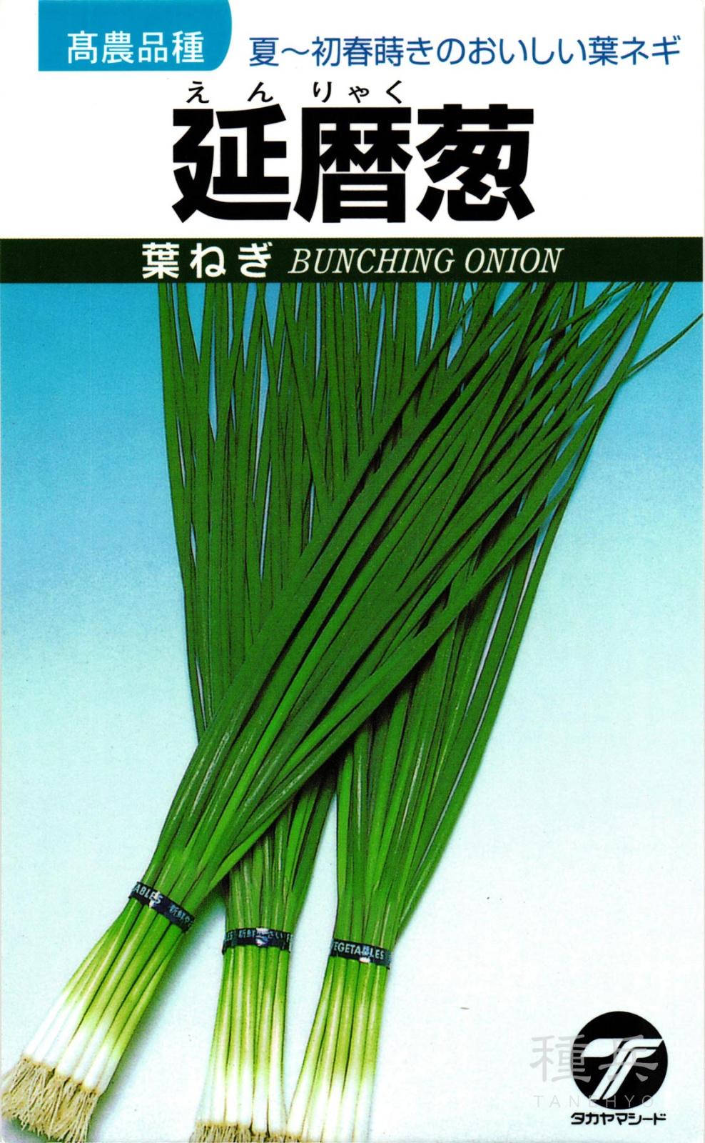 葉ネギ 種 『延暦葱』 タカヤマシード | たね,葉菜の種,ネギ,葉ネギ