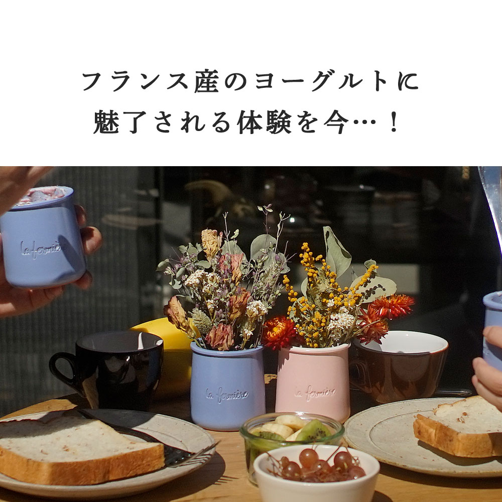 ラ・フェルミエール ＜バニラ＞ ヨーグルト140g (総重量 陶器含め330g