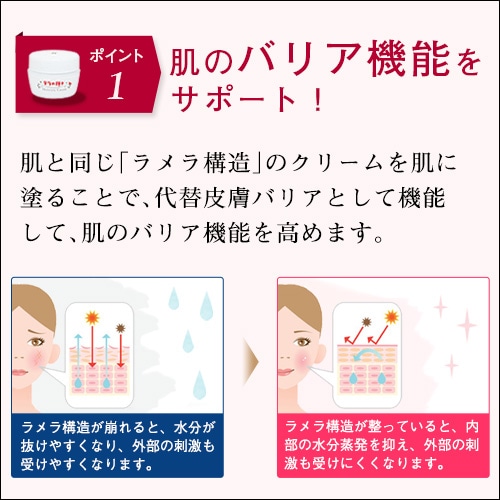 テラの輝きモイスチャークリーム 詰替パウチ400g｜トータルヘルス