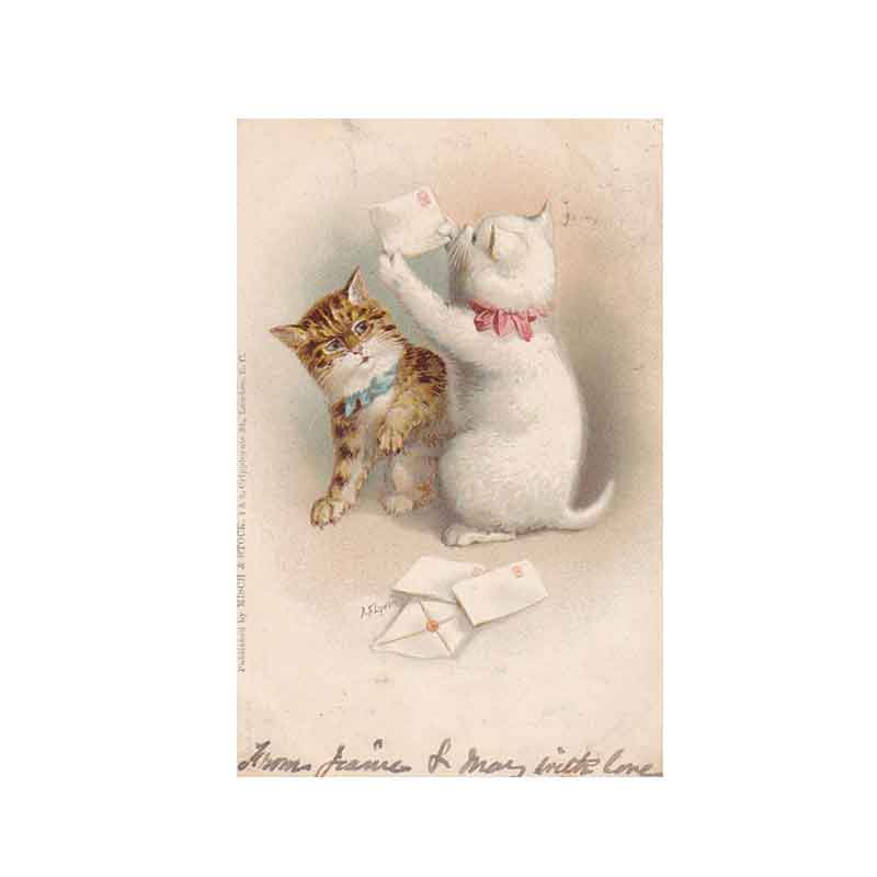 手紙が気になる2匹の猫のアンティークポストカード AF.Lydon 1904年