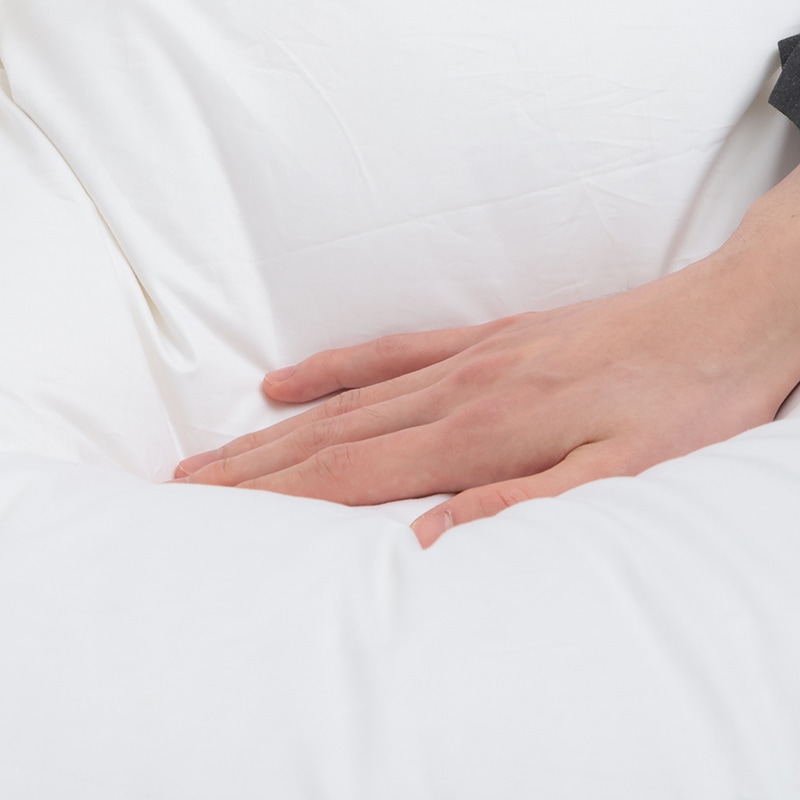 羽毛布団 IF WGDホワイトグース90% 2枚合わせ ※4サイズ有の通販｜東京