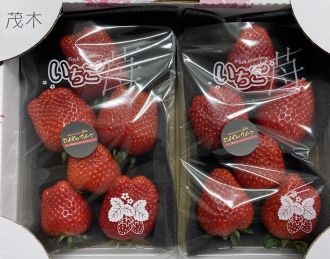 鈴木ファームのミルキーベリー デラックス（2パック入り） | とちぎの