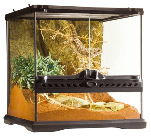 グラステラリウム 3030 PT2600 GEX(ジェックス) | TOPCREATE