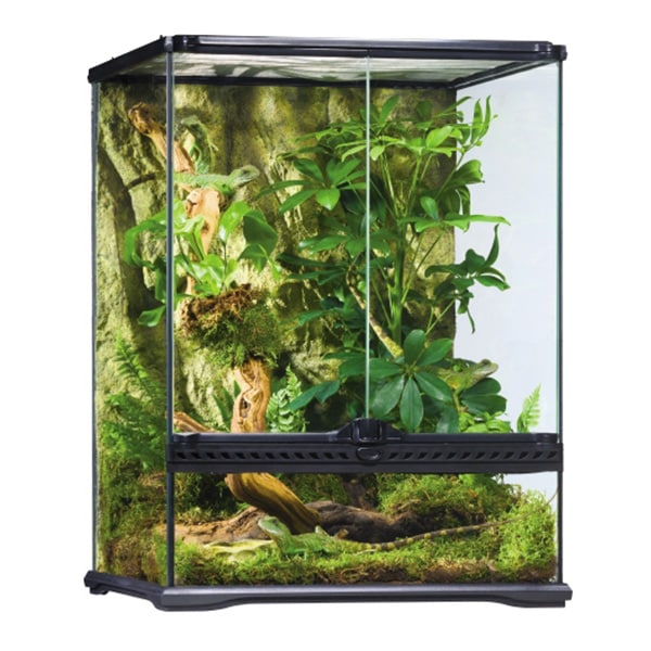 グラステラリウム 4560 PT2607 GEX（ジェックス） | TOPCREATE