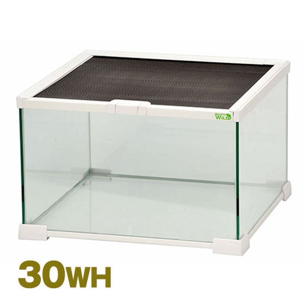 グラスゾーン 30WH E24 SANKO(三晃/サンコー) 爬虫類 両生類 昆虫