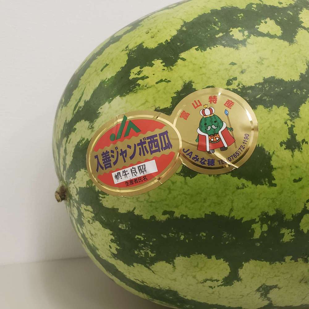 日本一大きなスイカ】入善ジャンボ西瓜の先行予約の受付を開始いたし