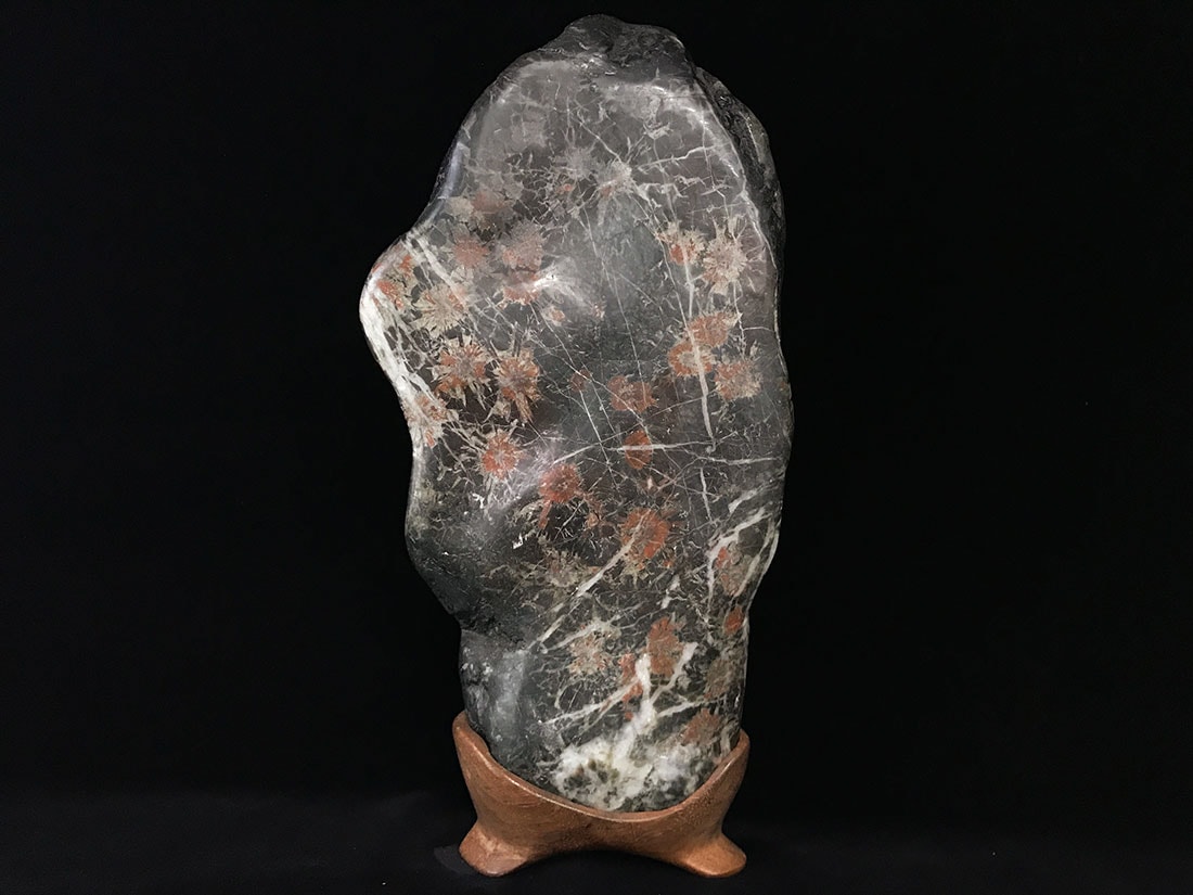 岐阜県根尾谷産 菊花石 (木製台座付き)