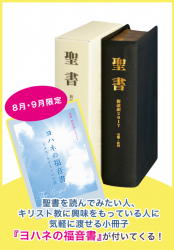 SI48 小型革装聖書 聖書協会共同訳 （750612）（日本聖書協会） | 聖書
