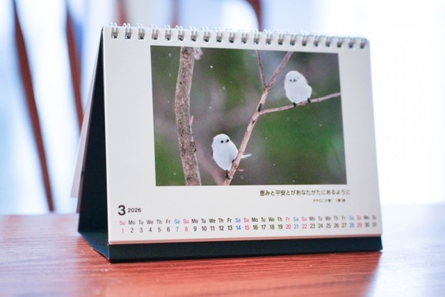 2026 卓上カレンダー 雪の妖精 シマエナガ （802702）（三宅利一