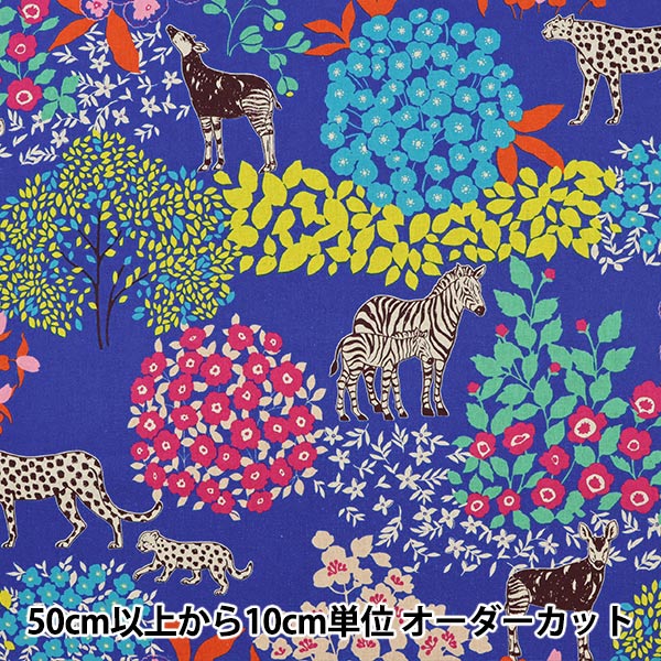 数量5から】 生地『echino(エチノ) スタンダード Bond 綿麻キャンバス