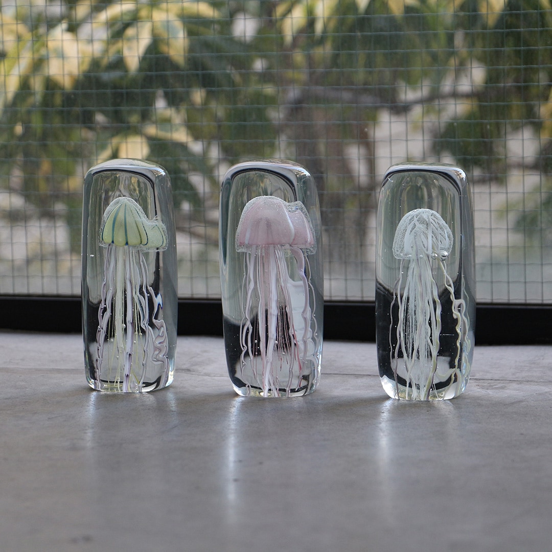 ジェリーフィッシュ ツイストレッグ 