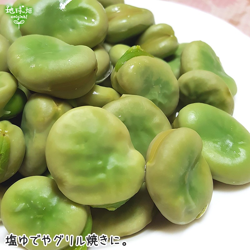 そらまめ 2kg 冷蔵便 空豆 そら豆 発送期間4月～5月 | 箱売り野菜