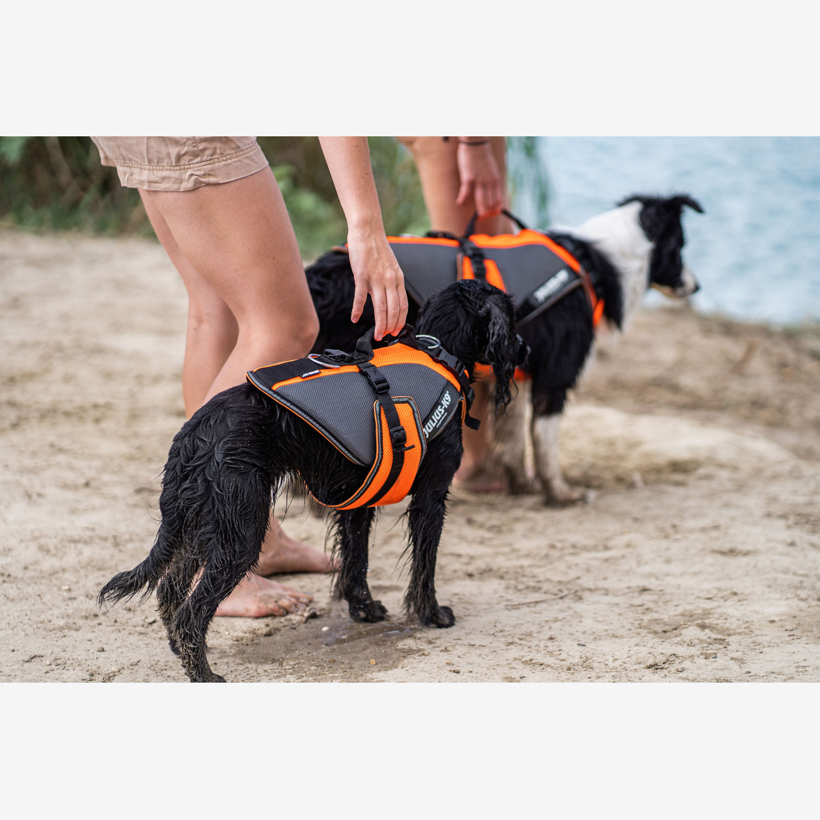 JK9 Multivest 4in1 (多機能 4in1 ドッグベスト) | ハーネス,多機能