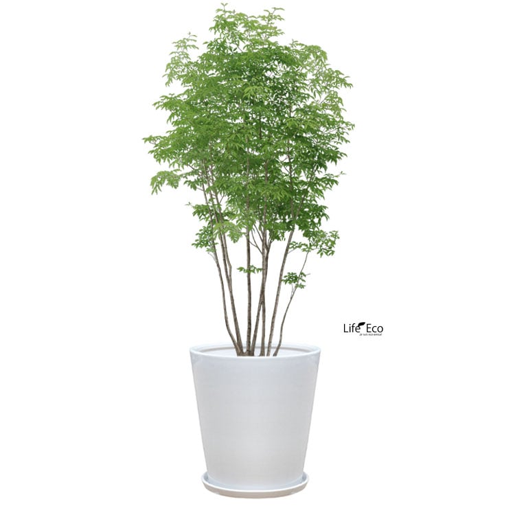 植木鉢 インテリアポット 大型 釉薬陶器製（艶有り）SGラウンド