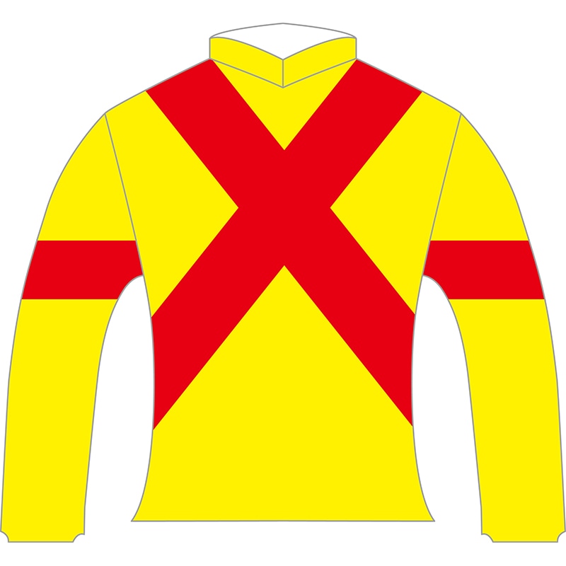 勝負服レプリカ2023天皇賞（春）【ジャスティンパレス】 | カテゴリー