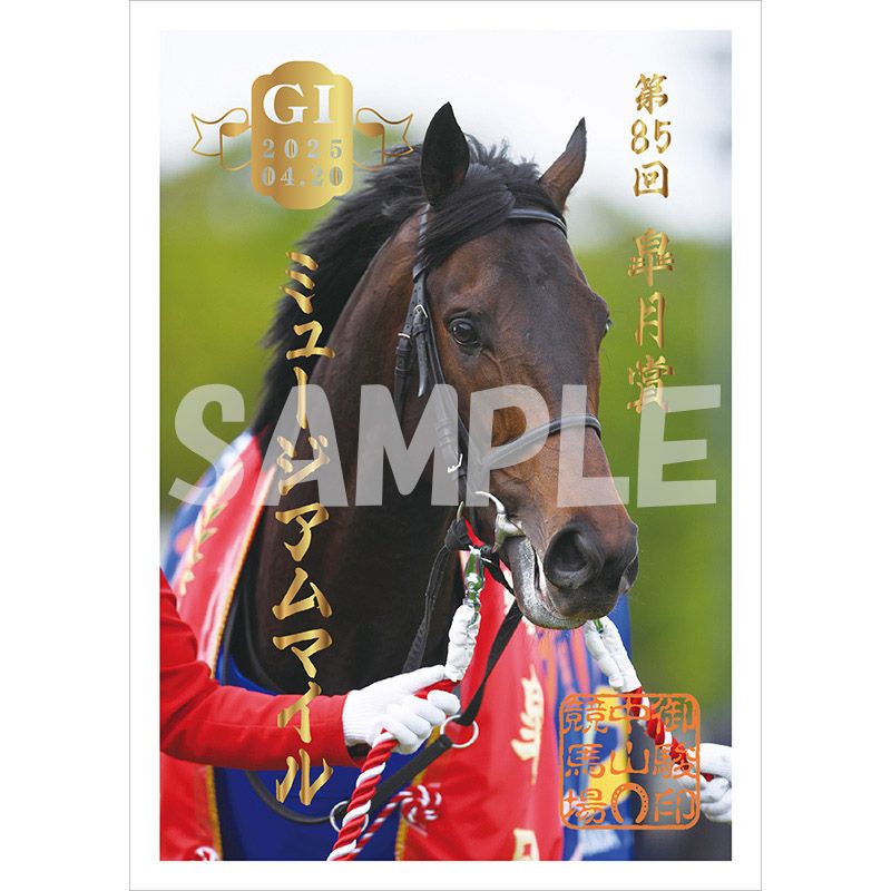 御駿印 2025皐月賞【ミュージアムマイル】 | カテゴリー一覧,御駿印