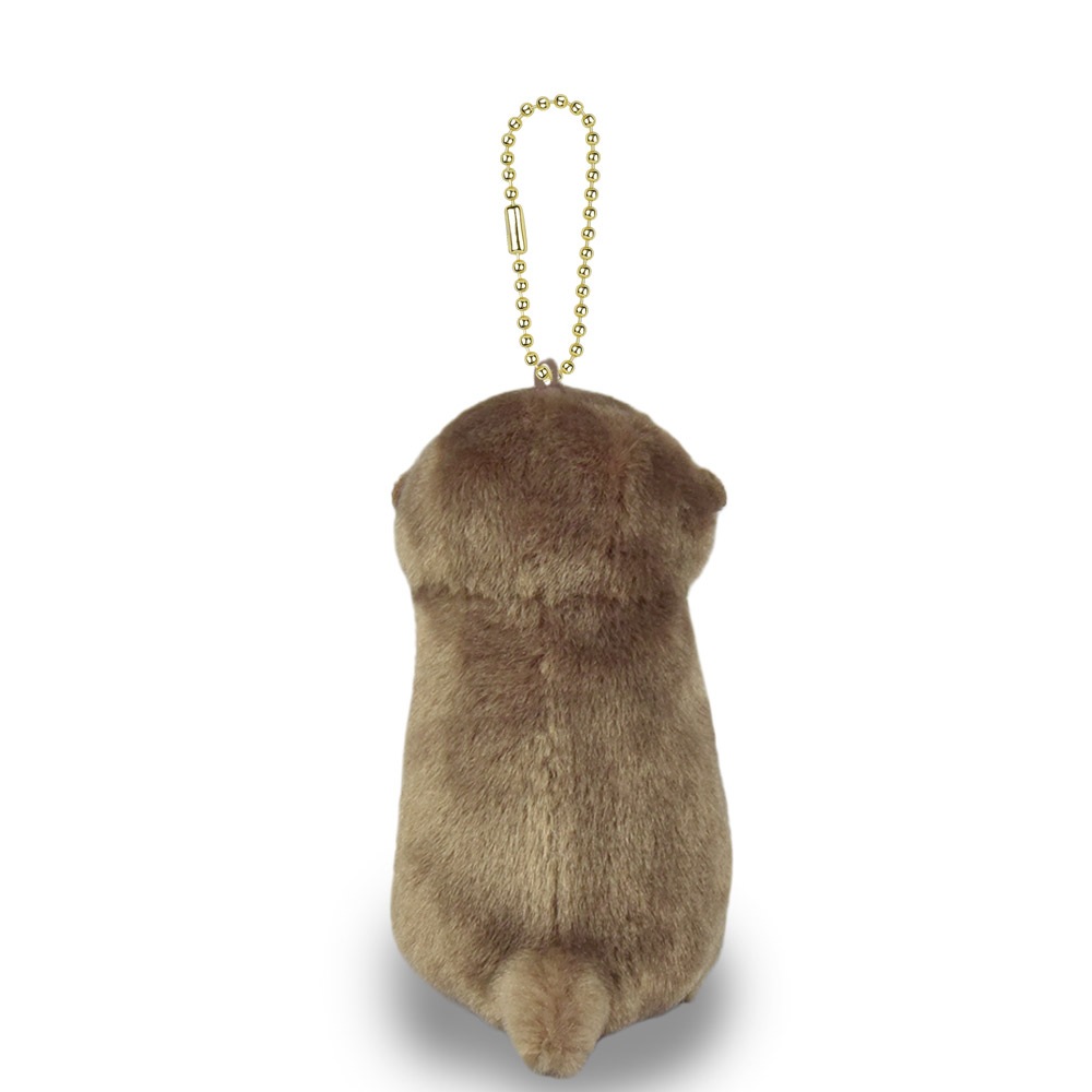 カワウソうそやんLMC こげチャン/Kawauso Usoyan LMC Koge-chan