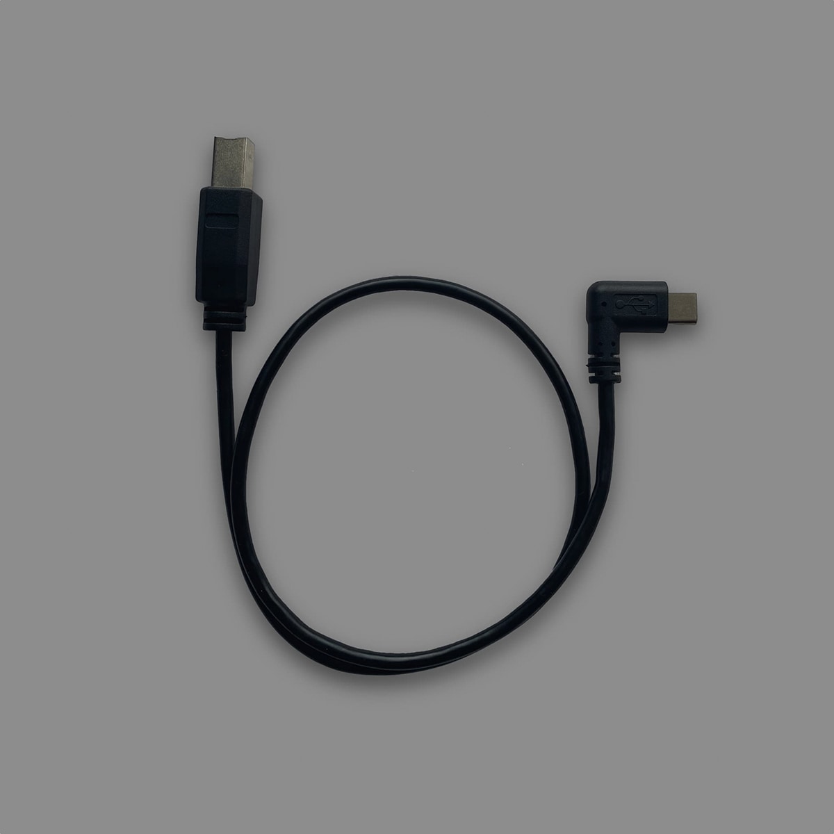 ASI VS1R USB-C TO USB-B CABLE アーケード スティック インドネシア