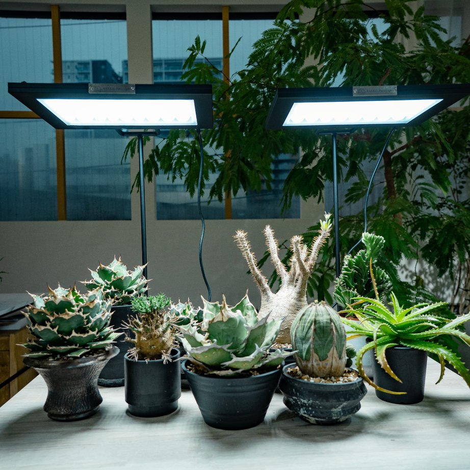 植物育成ライト専門店BARREL｜【ROKI-350 STAND】「ROKI-350」専用の