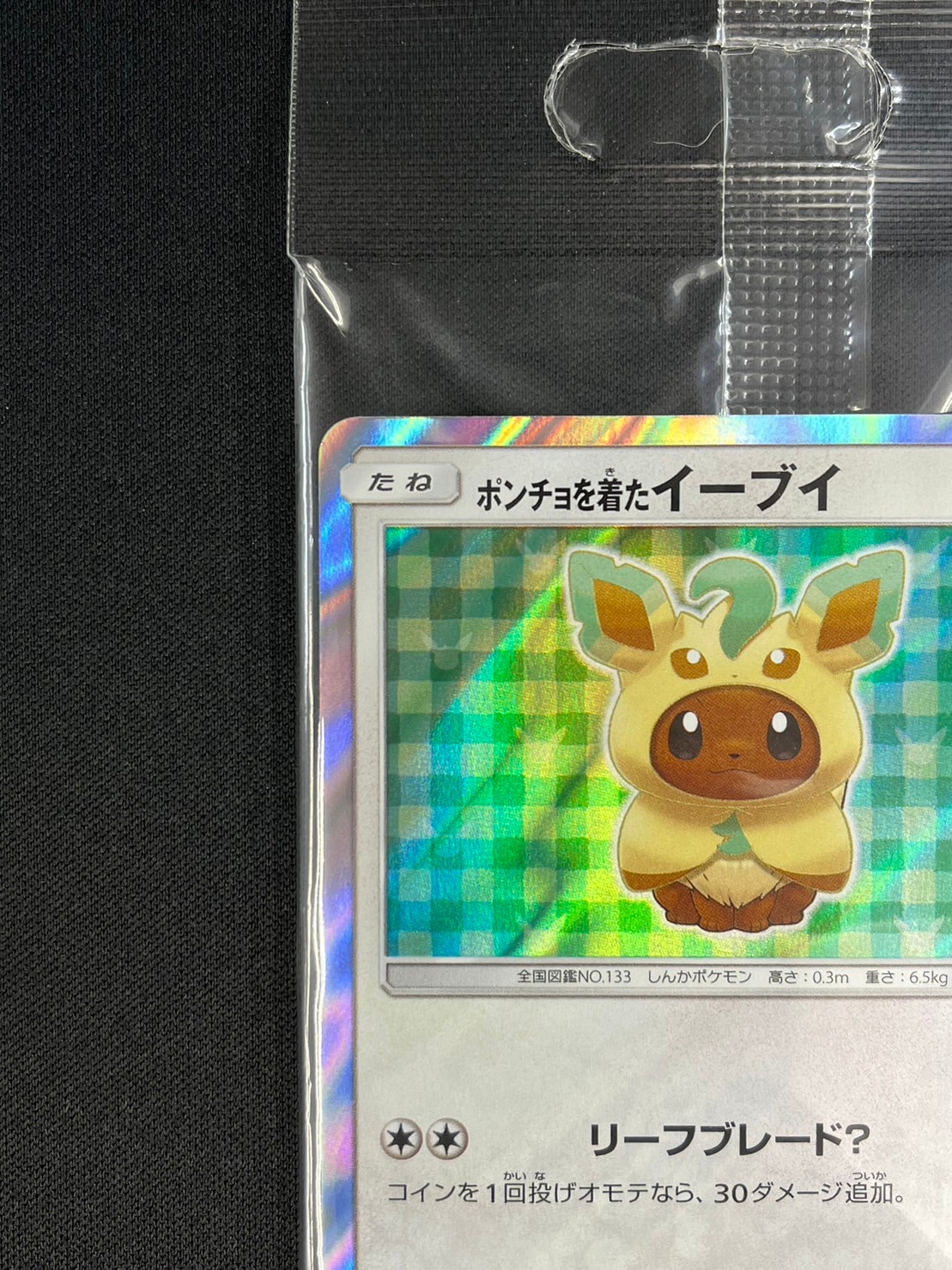 ポンチョを着たイーブイ《未開封》[P](SM-P-142) | ポケモンカード