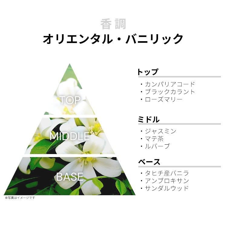 アモ フェラガモ EDP 【お試し香水】 1ml SALVATORE FERRAGAMO AMO