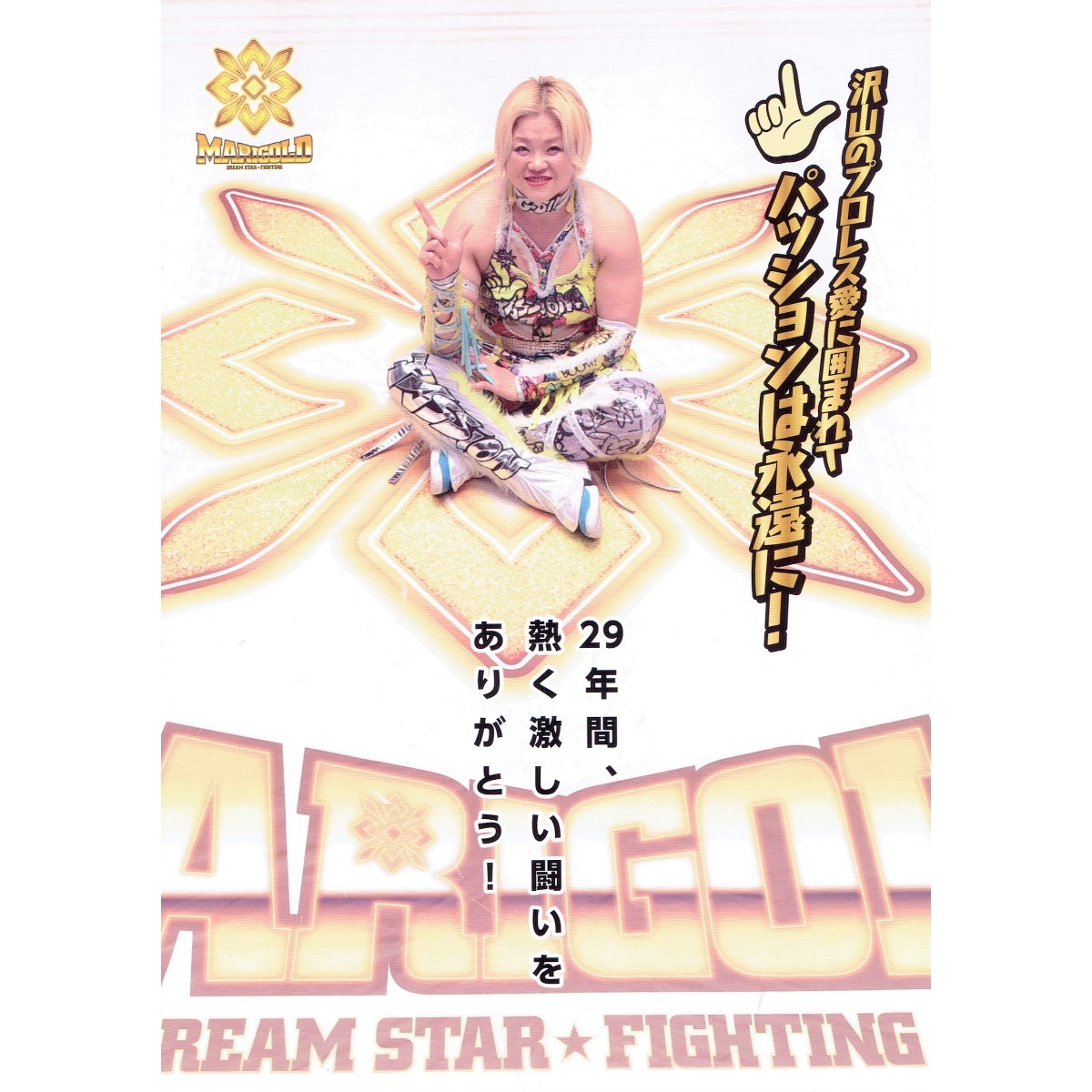 マリーゴールド ガイドブック Vol.11 | 写真集／ガイドブック | ビッグ