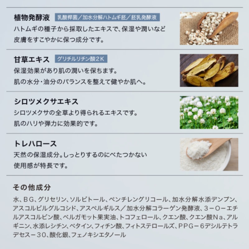 MetaLT SKIN メタエルティスキン 全身美容器MetaLT(メタエルティ)付属